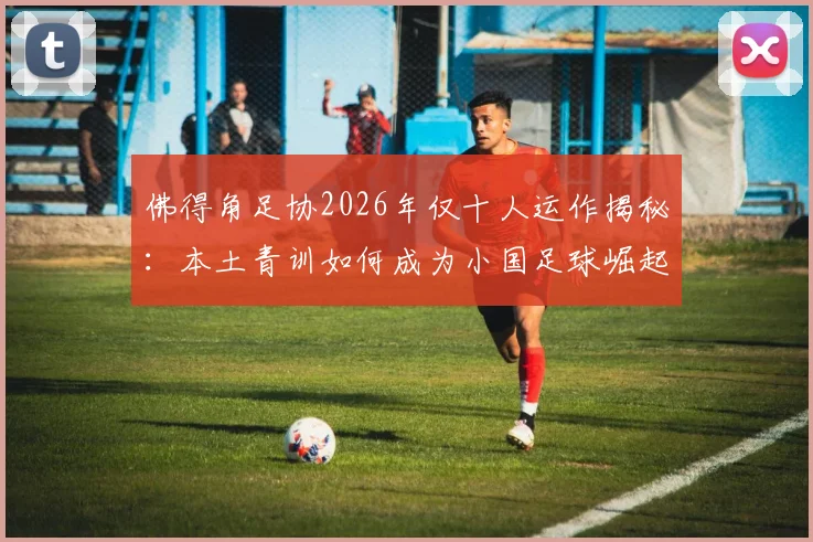 佛得角足协2026年仅十人运作揭秘:本土青训如何成为小国足球崛起的核心根基