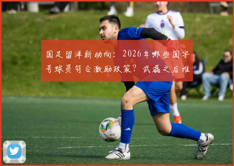 国足留洋新动向：2026年哪些国字号球员符合激励政策？武磊之后谁有望登陆欧洲联赛