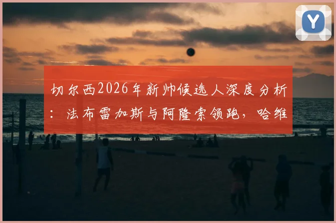 切尔西2026年新帅候选人深度分析:法布雷加斯与阿隆索领跑,哈维成潜在黑马,谁最适合蓝军?
